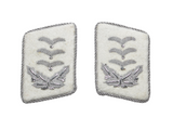 Luftwaffe Hauptmann of Hermann Goring Division Collar tabs